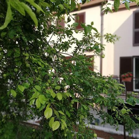 Family Apartment Ingrid พูลา ภายนอก รูปภาพ